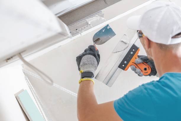 Best Residential Mold Inspection & Testing  in Carbondale, PA
